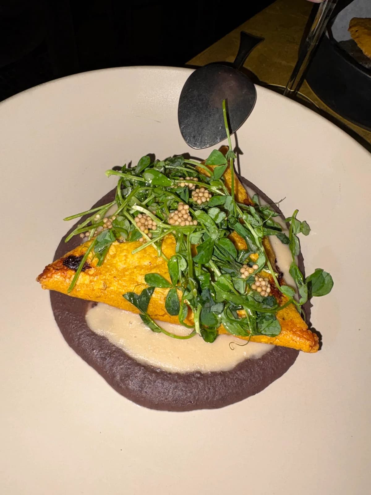 VELA photo 6