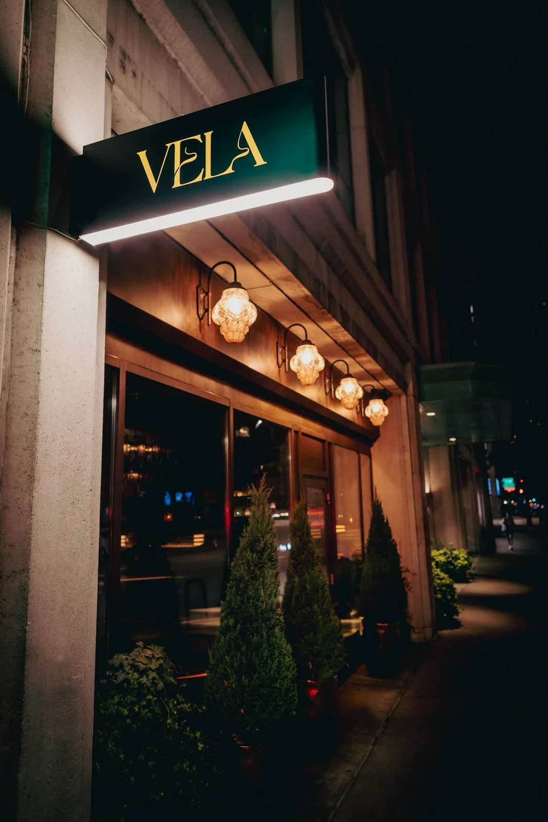 VELA photo 2