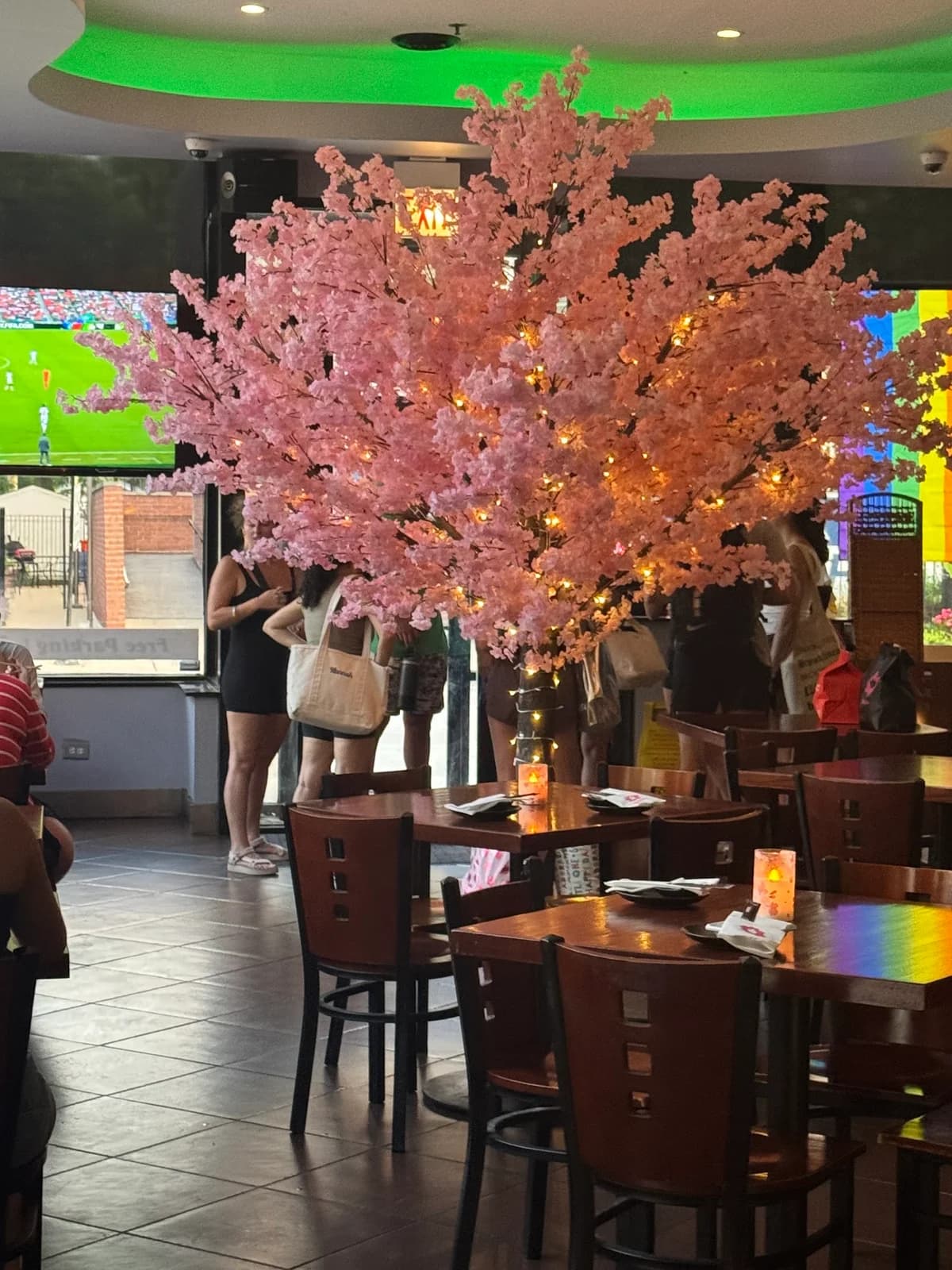 Sakura Teppanyaki & Sushi photo 1