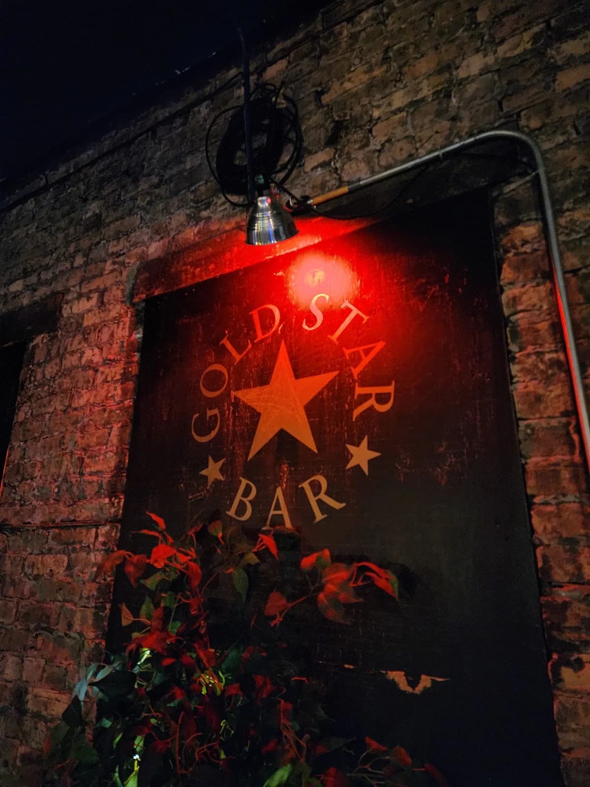Gold Star Bar photo 8