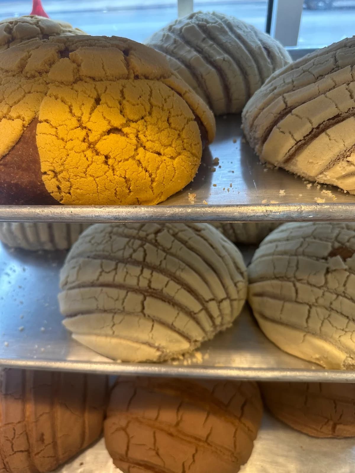 Panadería Coral photo 6