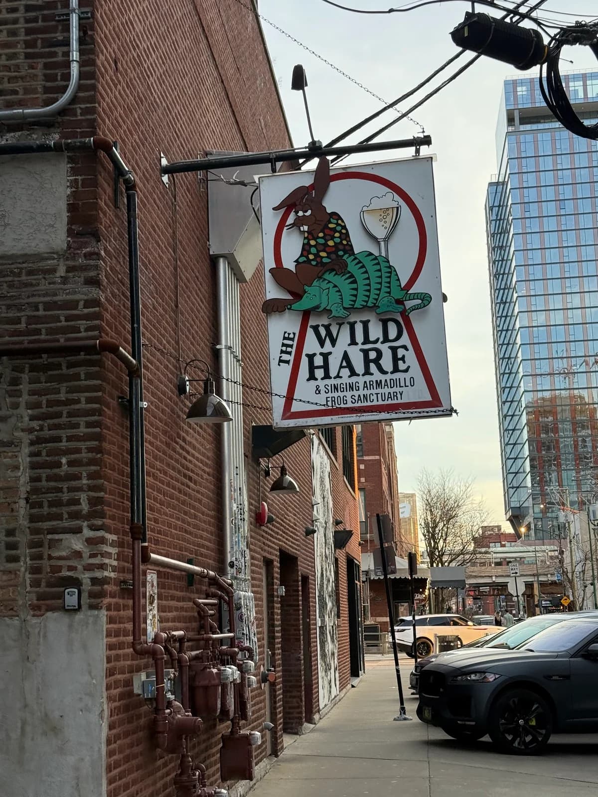 The Wild Hare photo 6