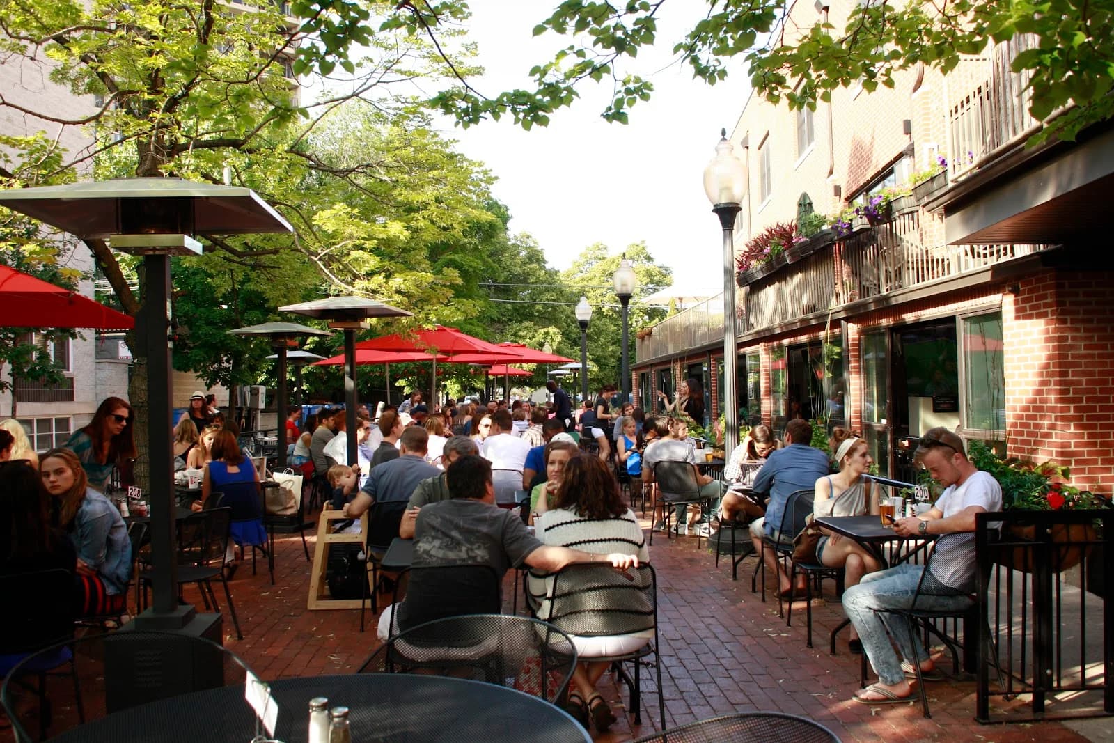 Ranalli's Pizza Bar - Lincoln Park, Chicago photo 1