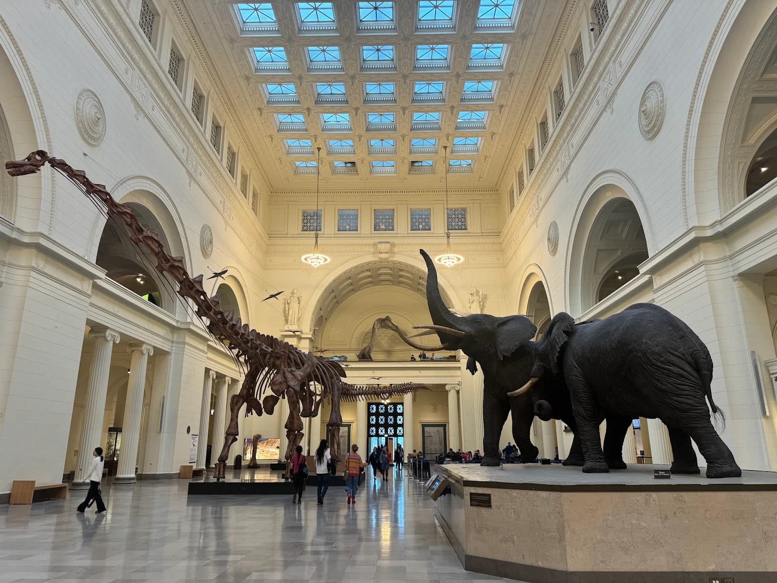 Field Museum photo 2