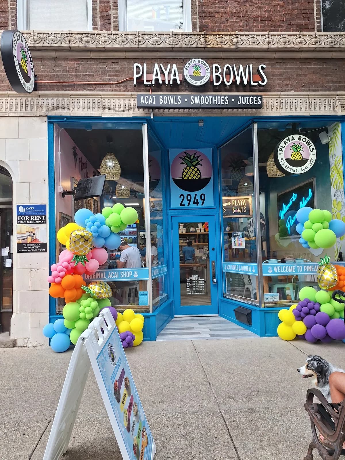 Playa Bowls photo 4