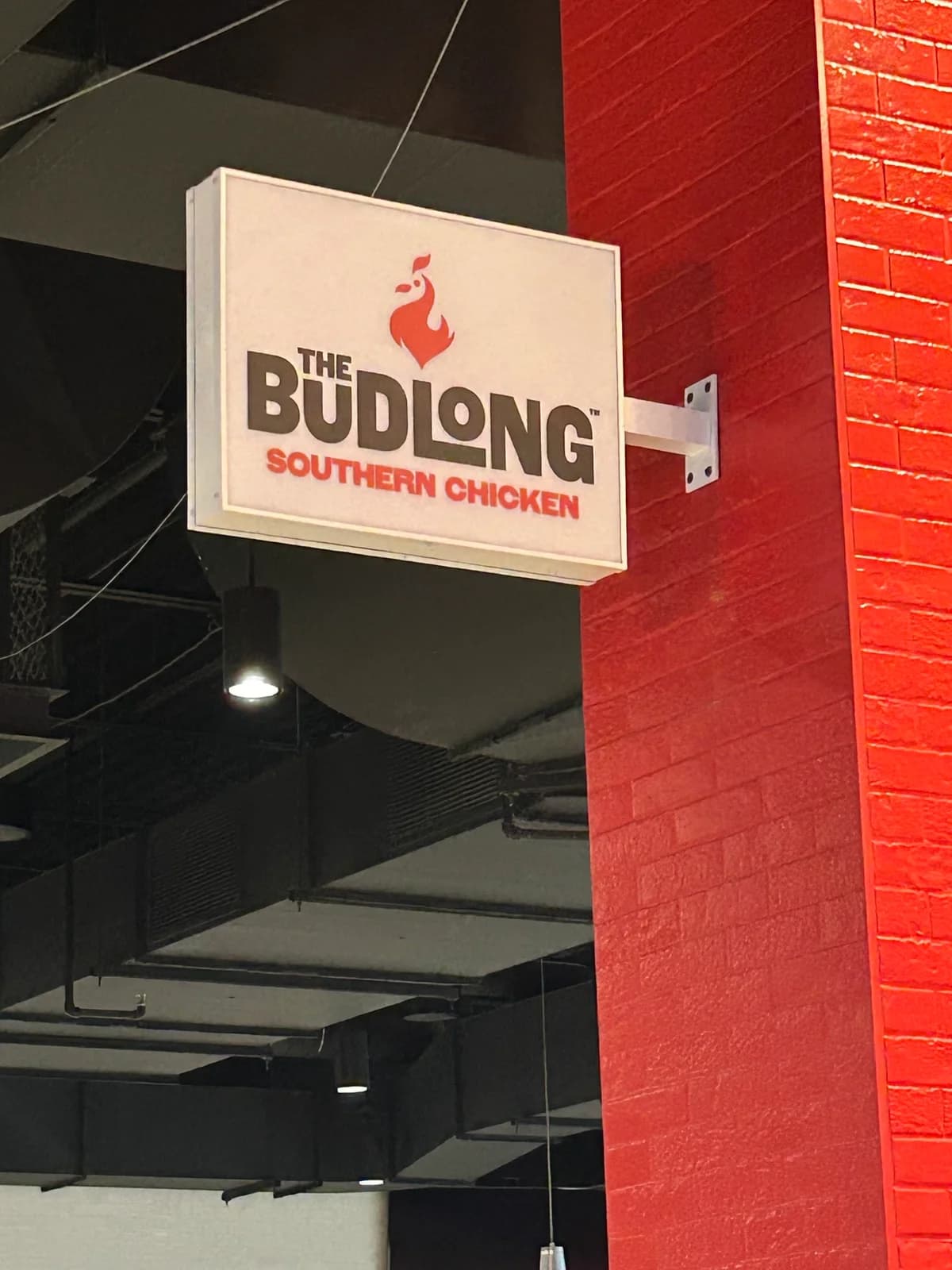 The Budlong Southern Chicken photo 2