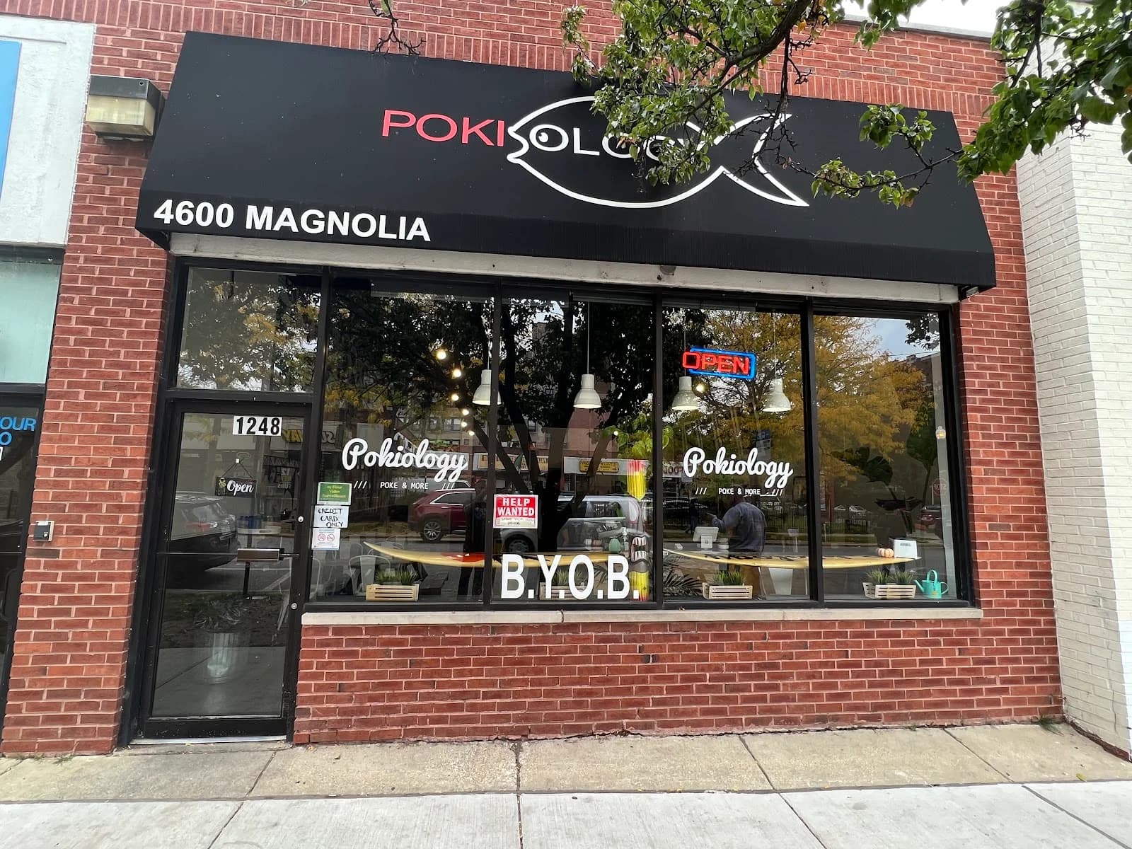 Pokiology photo 4