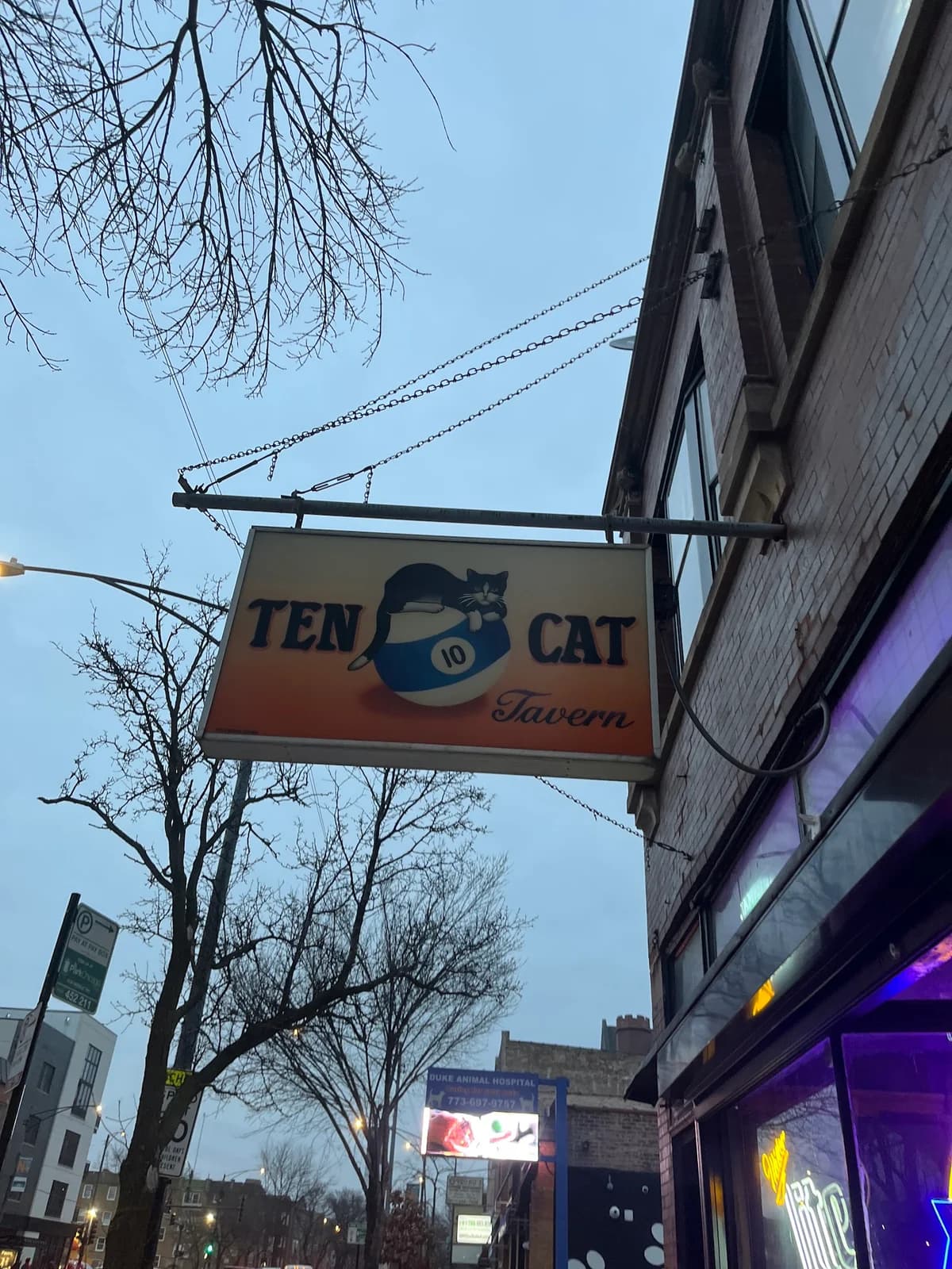 Ten Cat Tavern photo 9