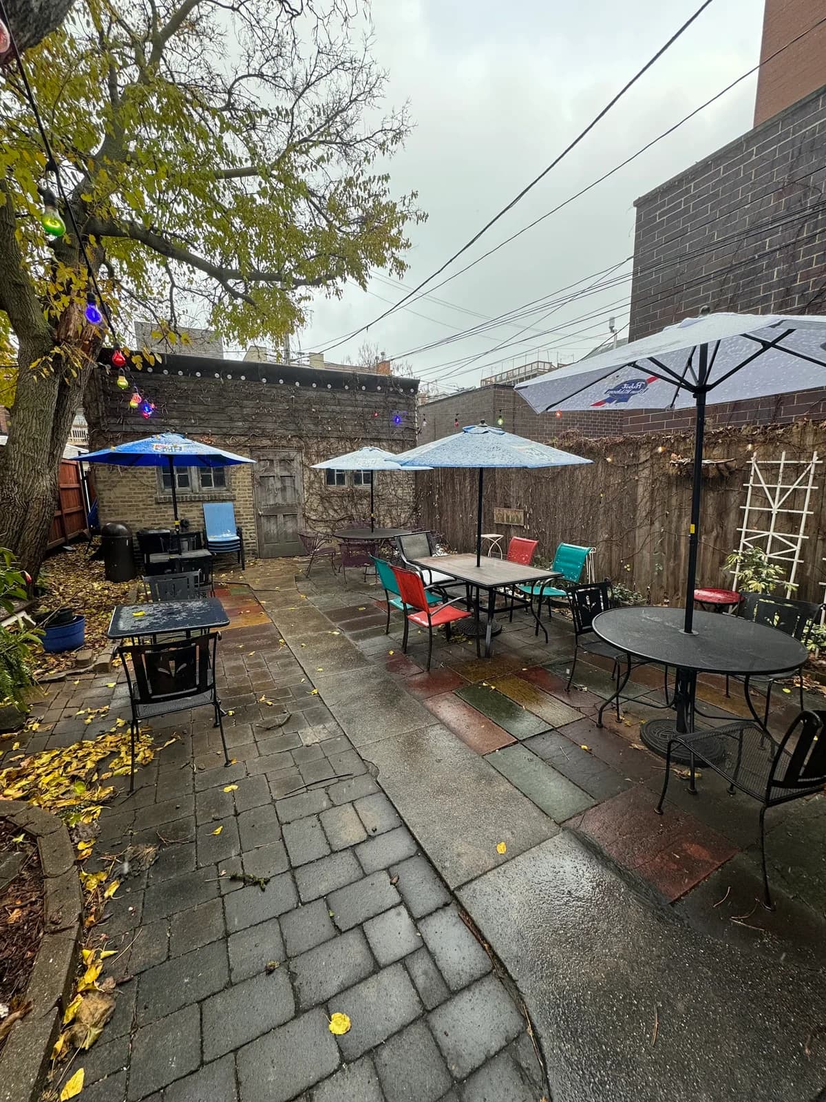 Ten Cat Tavern photo 8