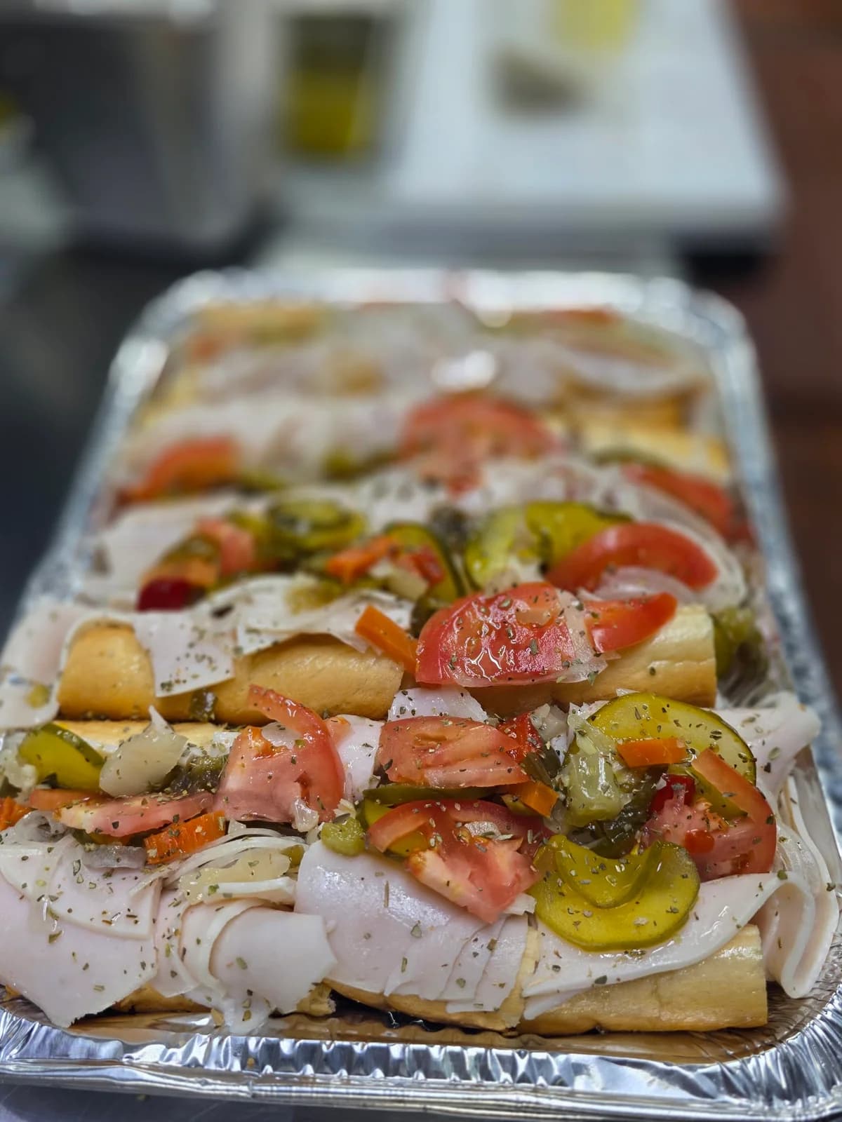 The Hoagy Plug photo 3