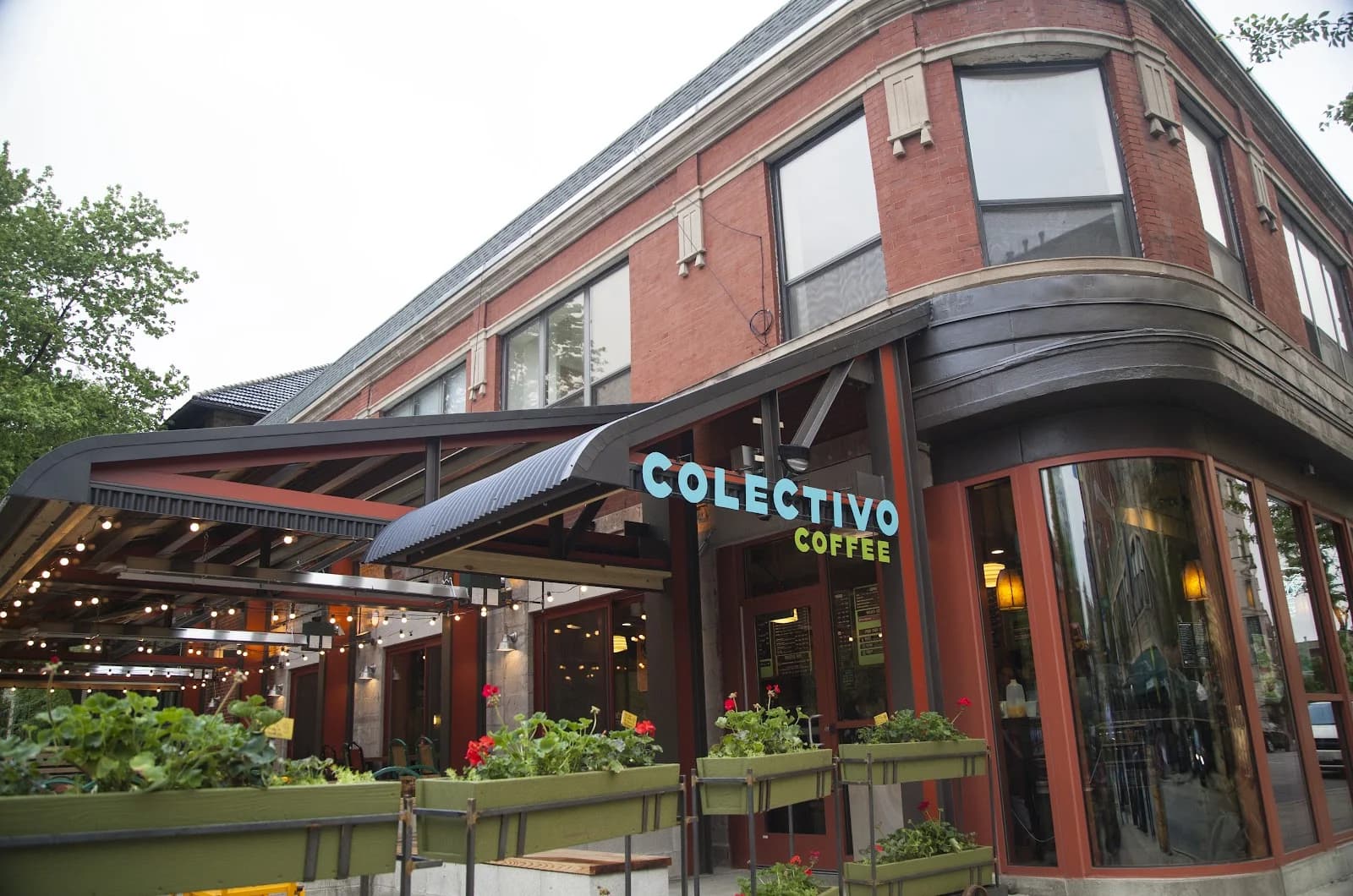 Colectivo Coffee Lincoln Park photo 3