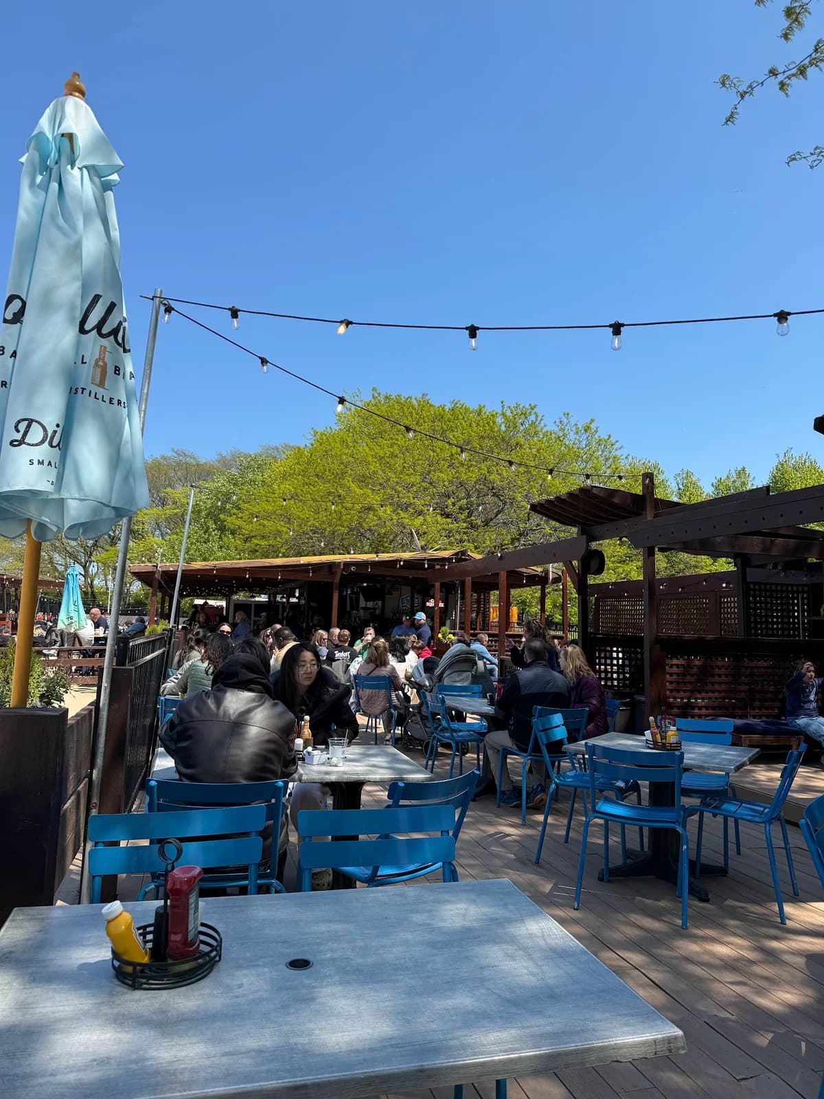 Caffè Oliva at Ohio Street Beach photo 4
