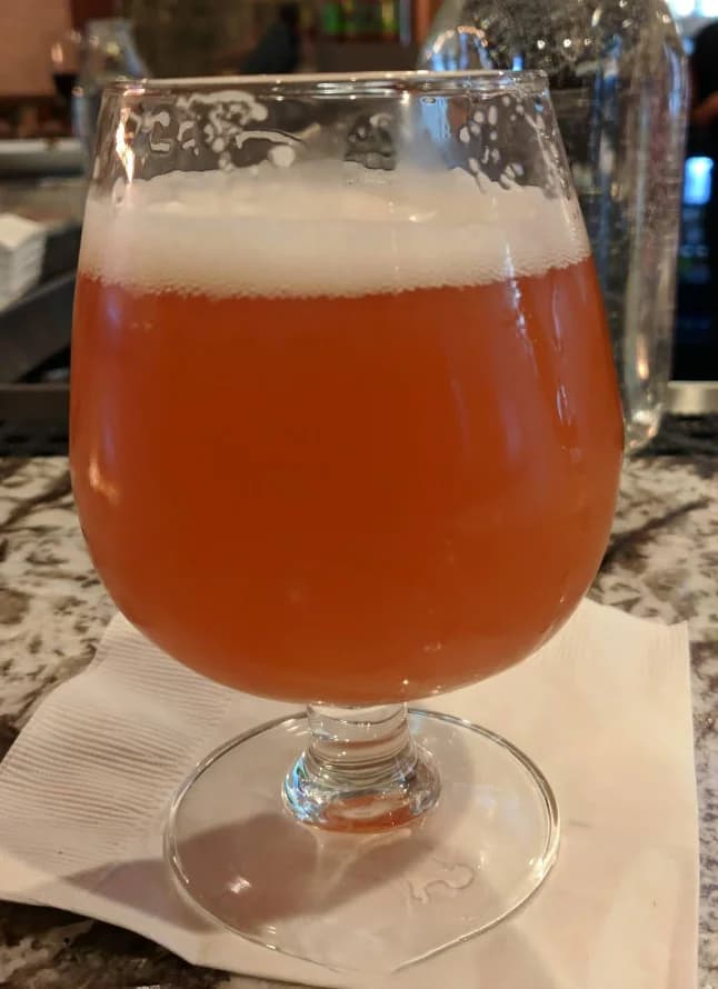 Copper Fox Gastropub photo 10