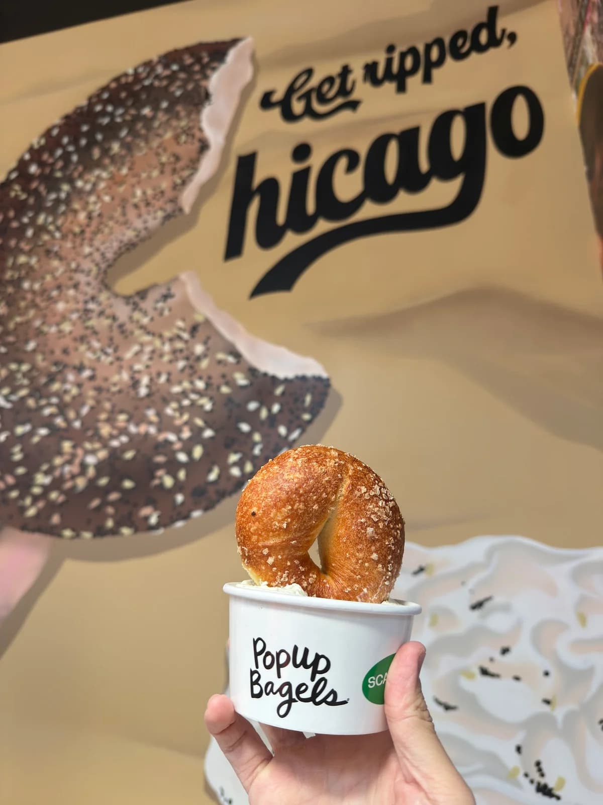 PopUp Bagels photo 9