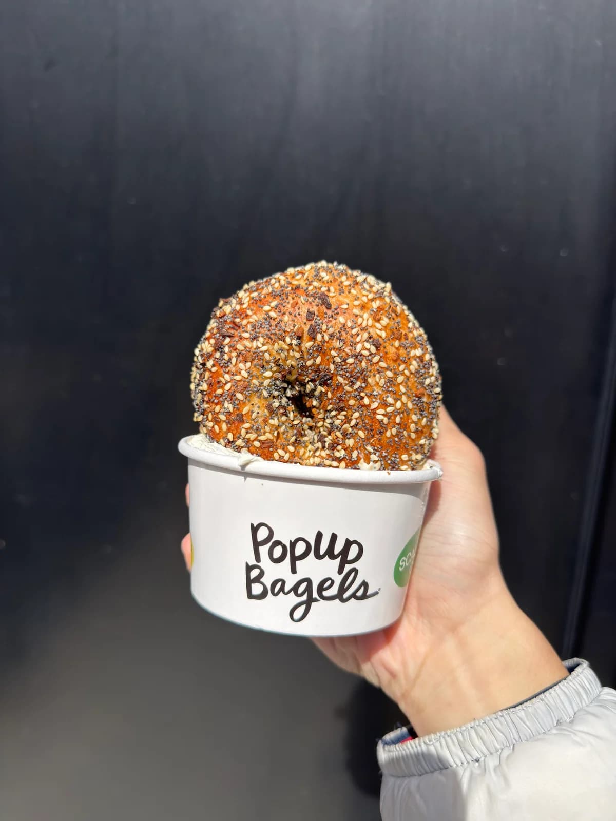 PopUp Bagels photo 7