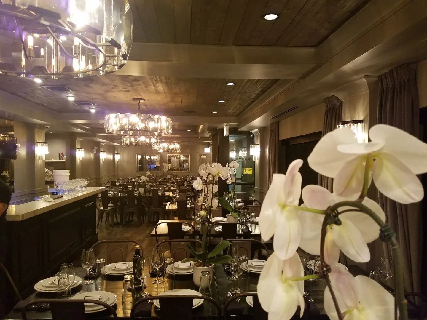 Pasta D'Arte Trattoria Italiana photo 1