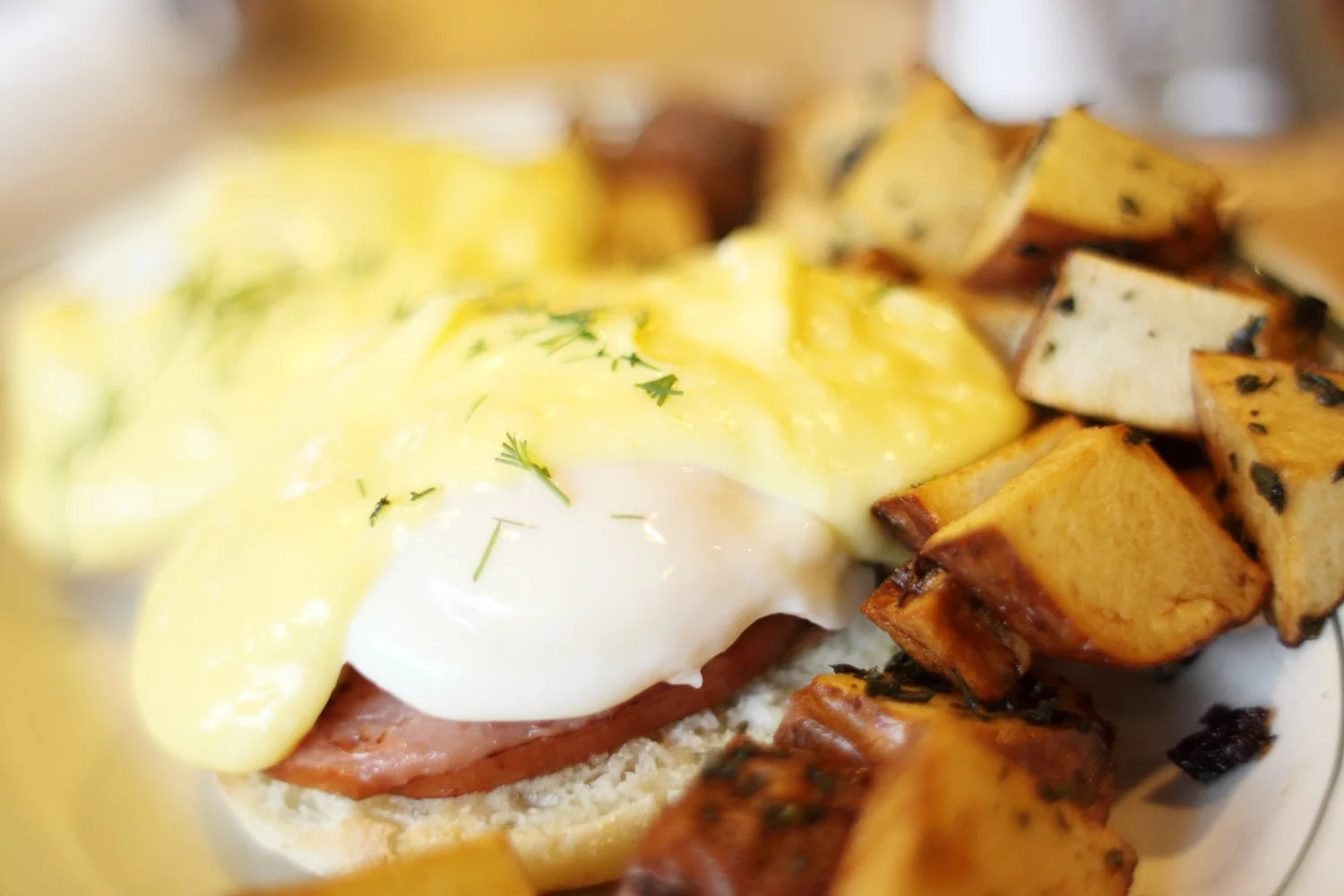 Hashbrowns photo 6