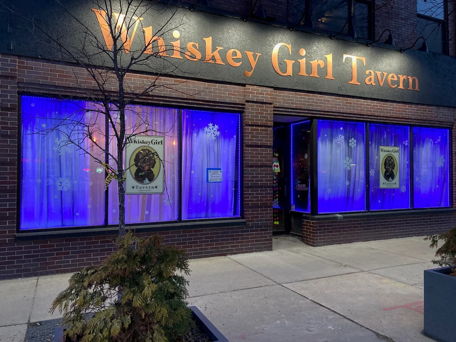 Whiskey Girl Tavern photo 3