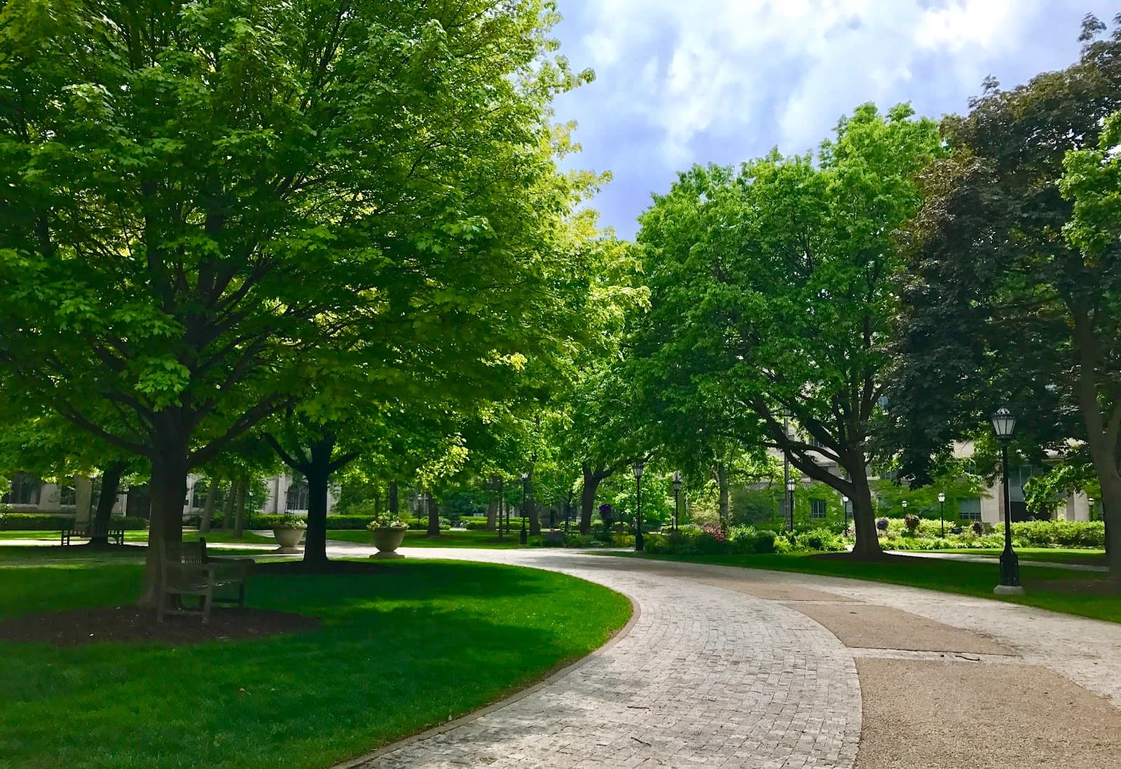 Grounds of Being: The Divinity School Coffee Shop photo 4