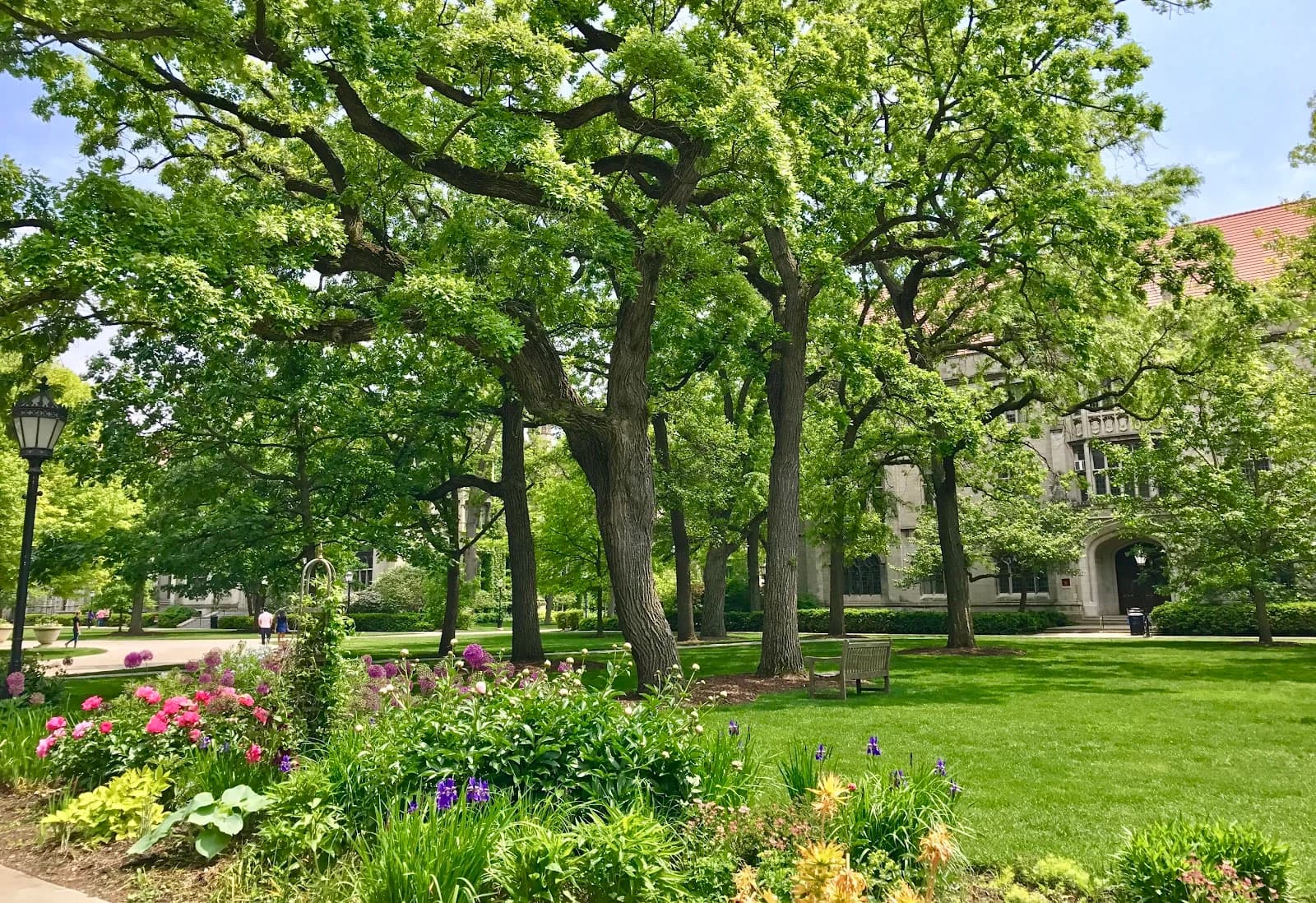 Grounds of Being: The Divinity School Coffee Shop photo 3