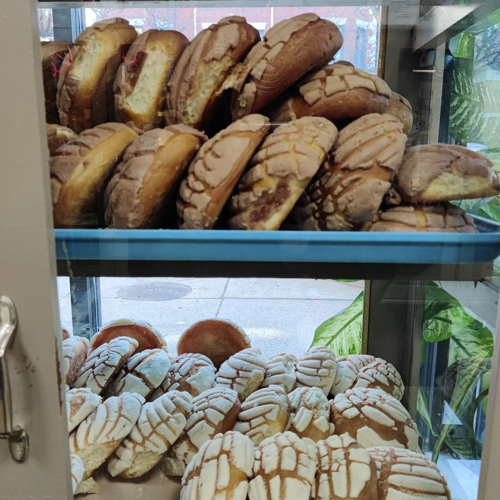 Artemio's Bakery photo 5