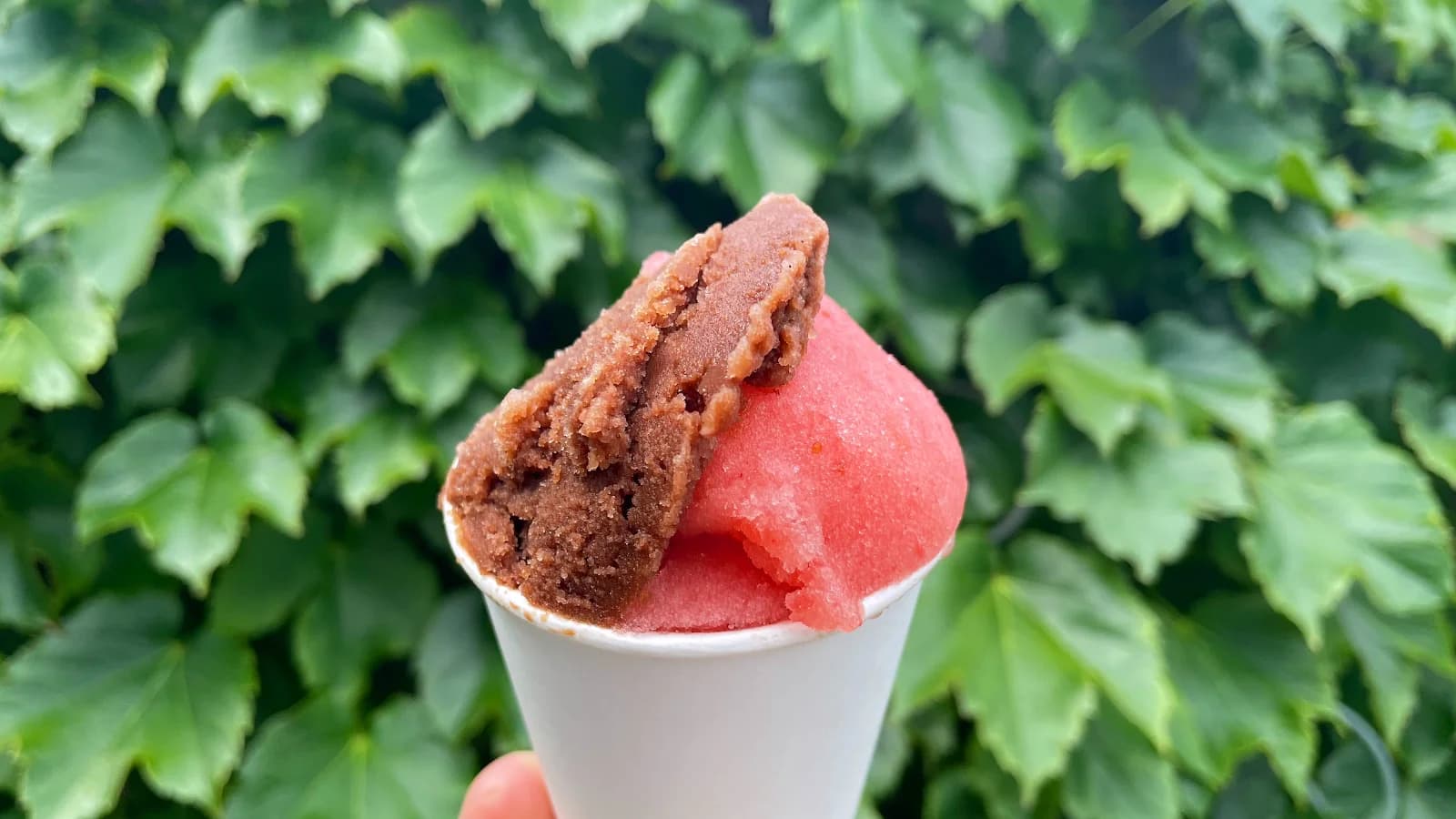 Miko's Italian Ice (Logan Square) photo 5