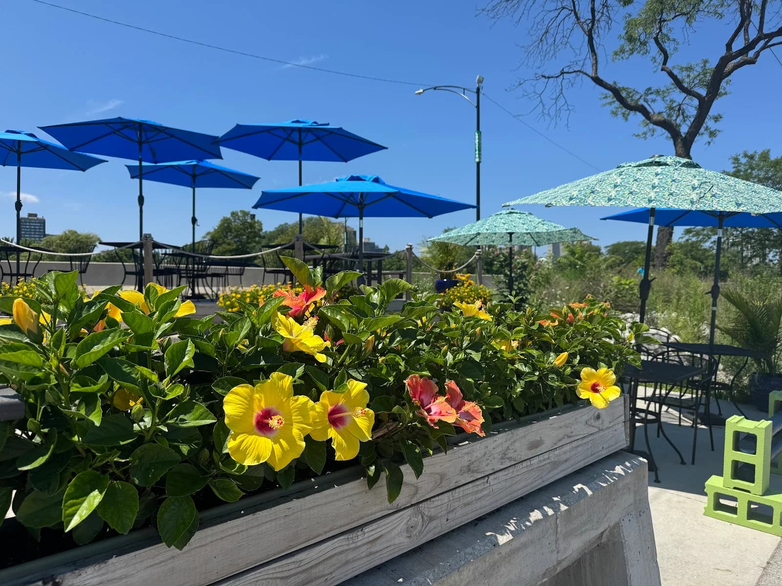 Sandbox Beach Cafe photo 2