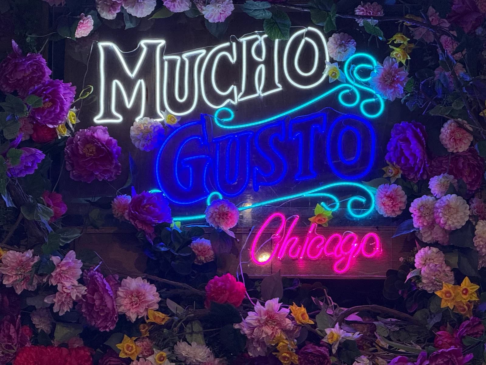 Mucho Gusto Barra + Cocina - Chicago photo 4
