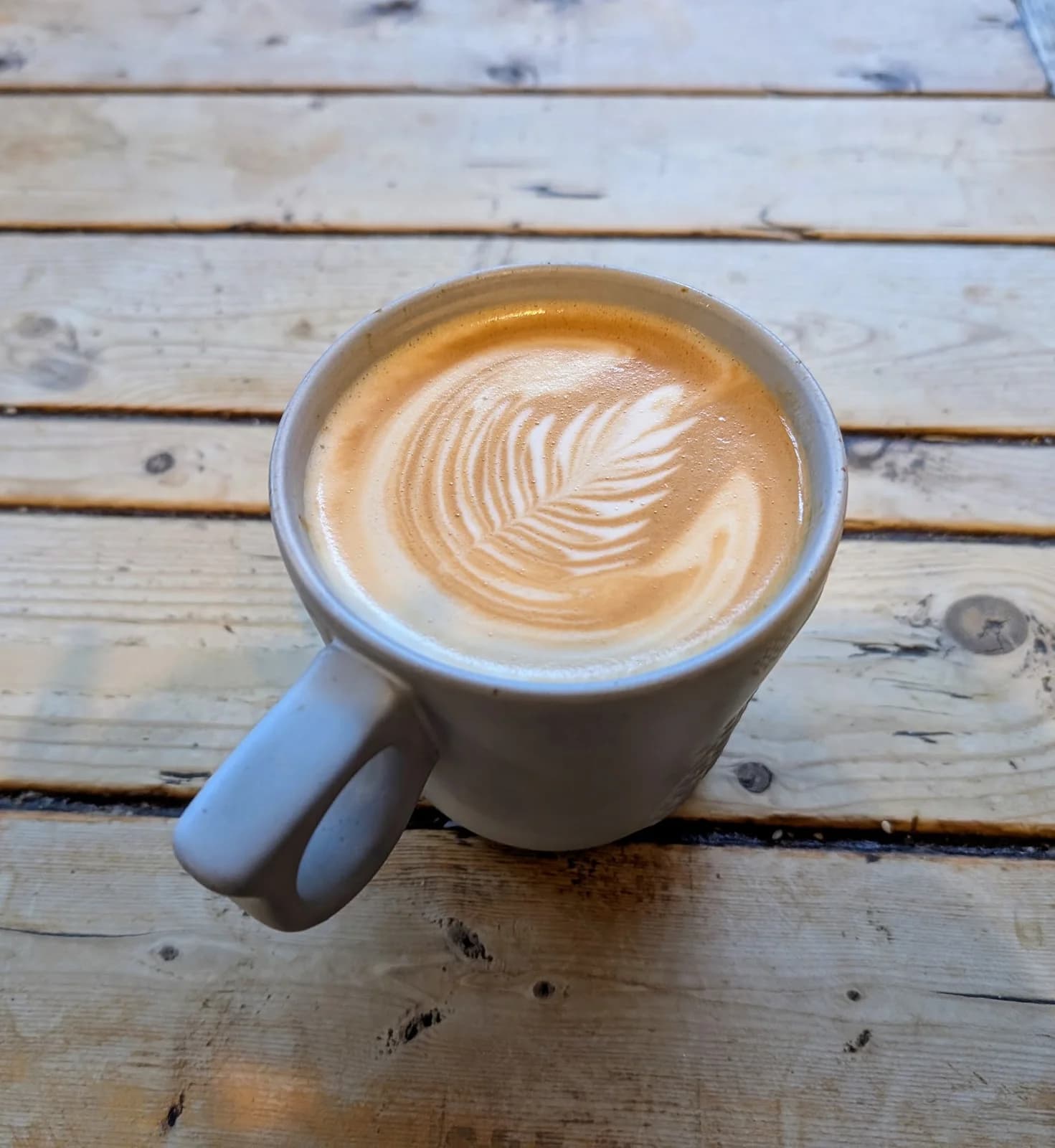 Dollop Coffee Co. photo 8