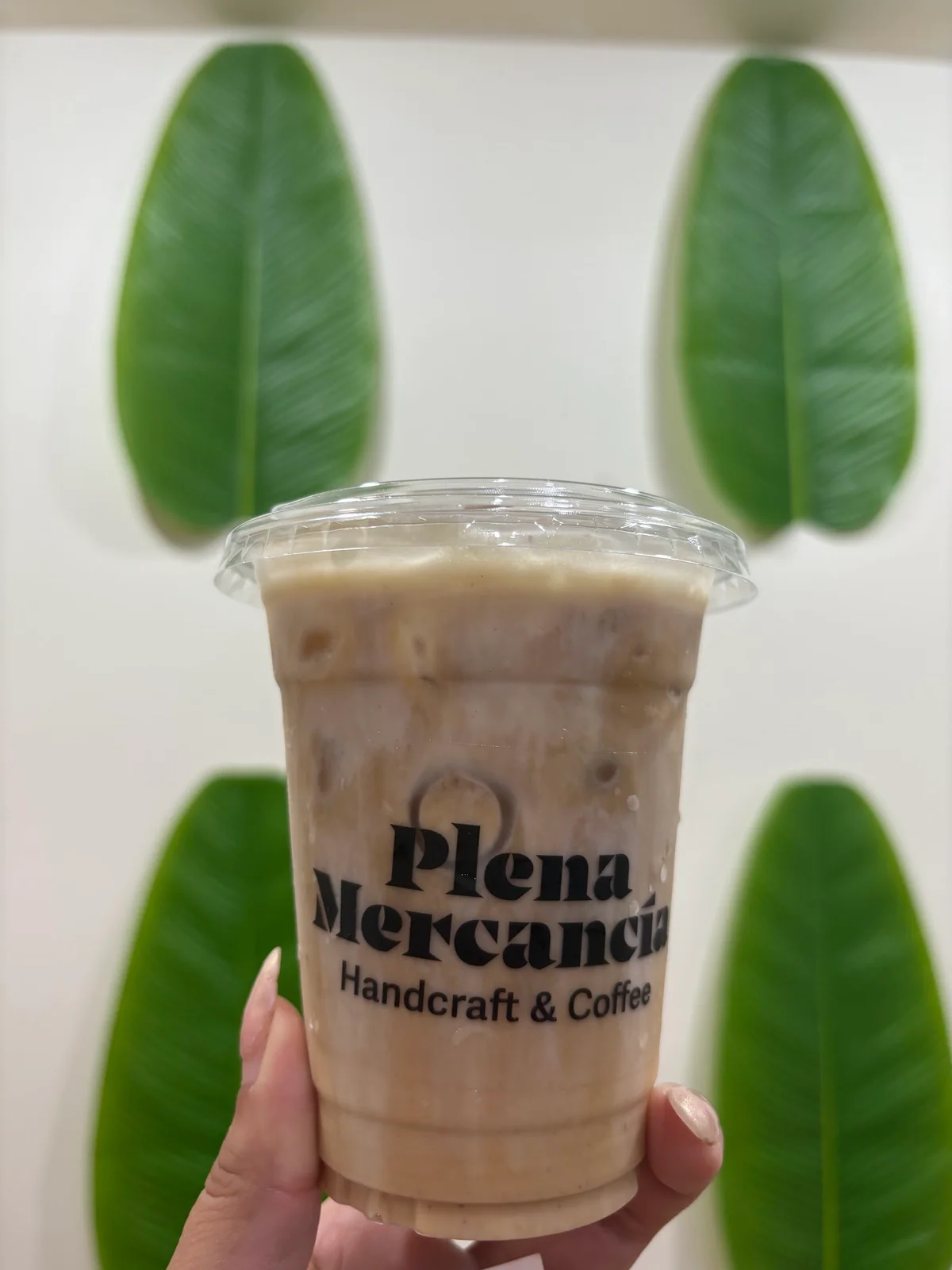 Plena Mercancia photo 6