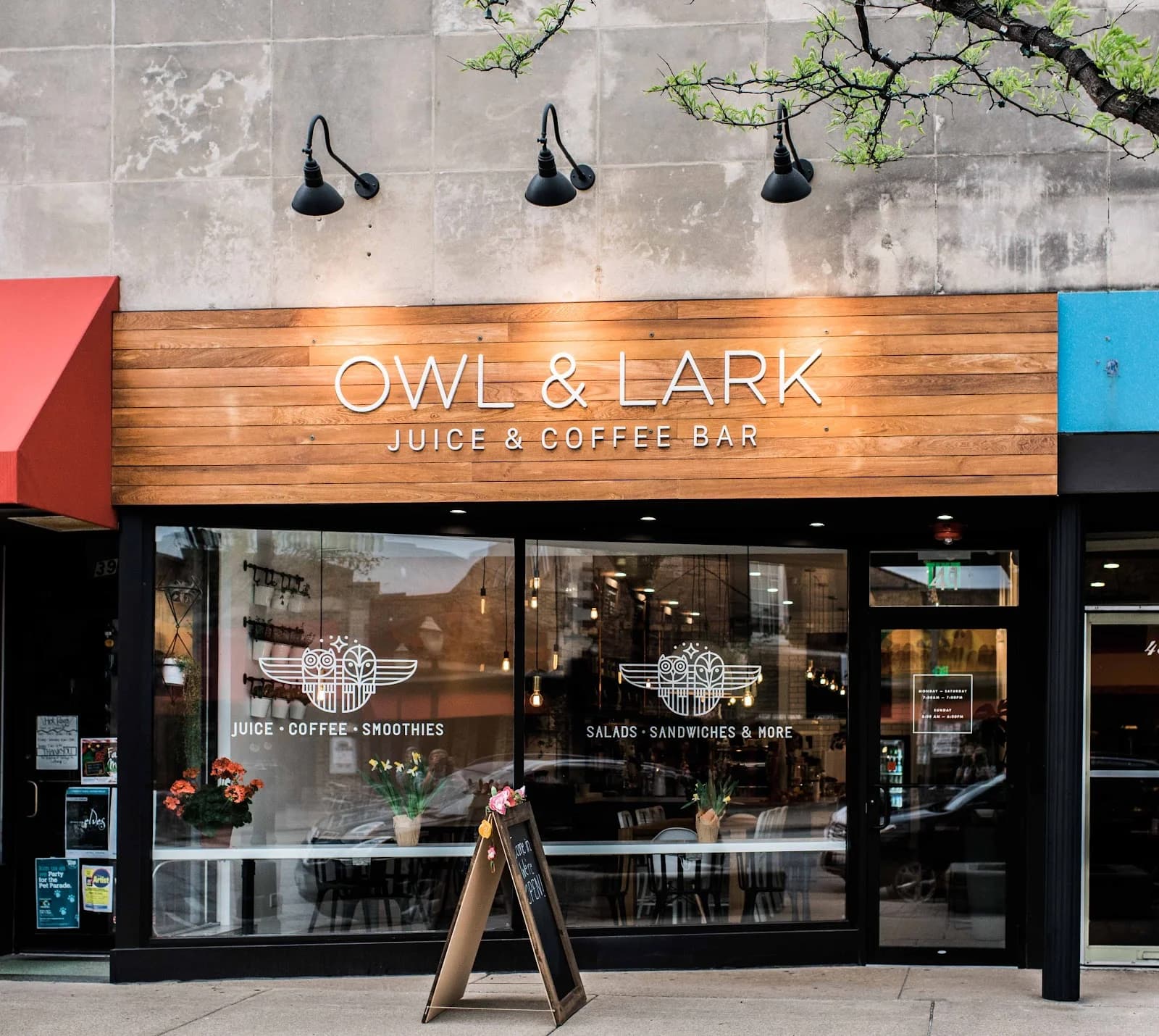 Owl and Lark photo 1