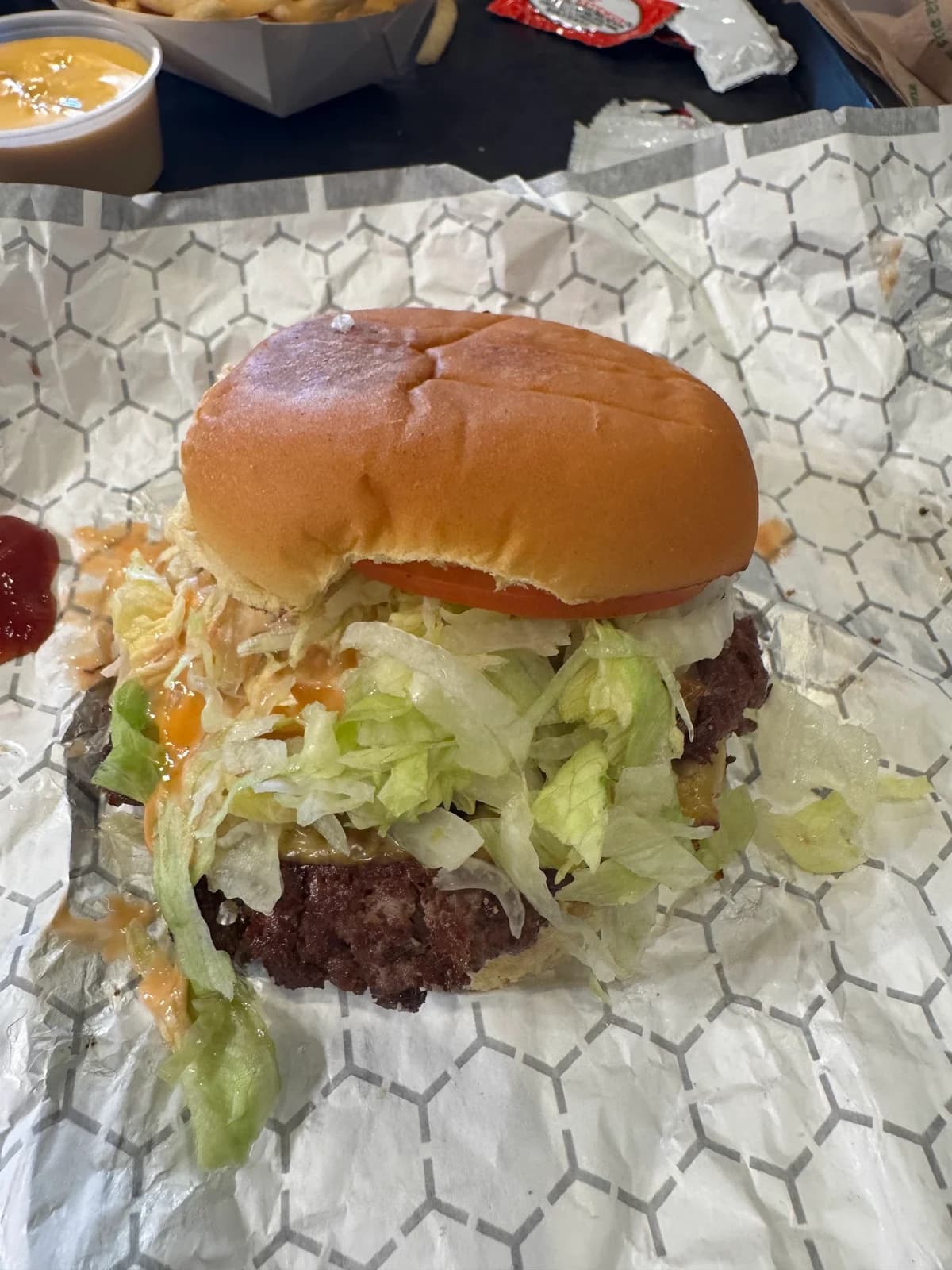 SALT burgers + fries photo 7