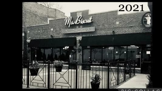 Ms. Biscuit photo 3