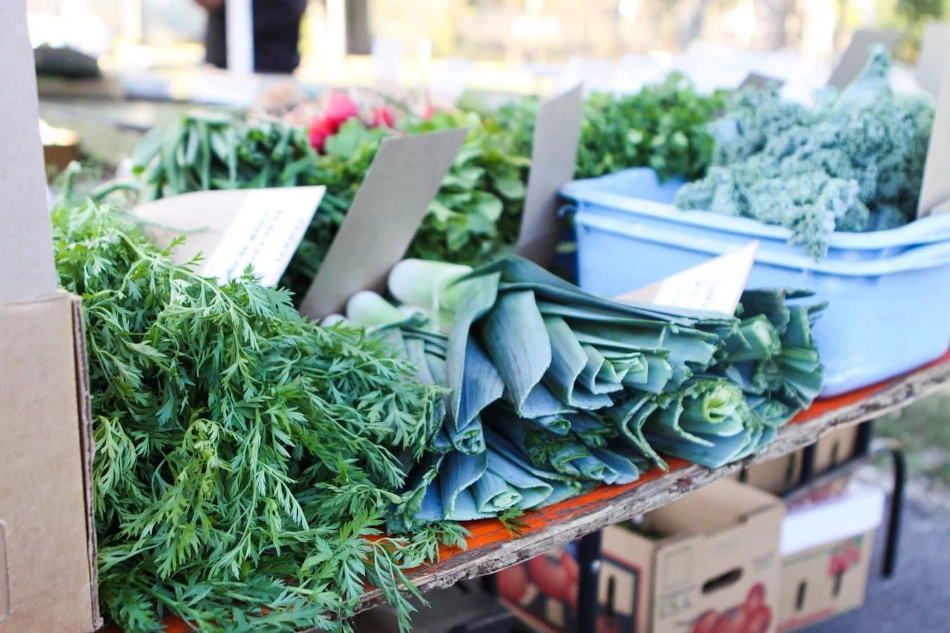 Brookfield Farmers Market photo 9