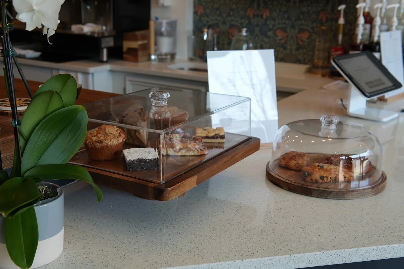 Windfree Solar Cafe photo 3