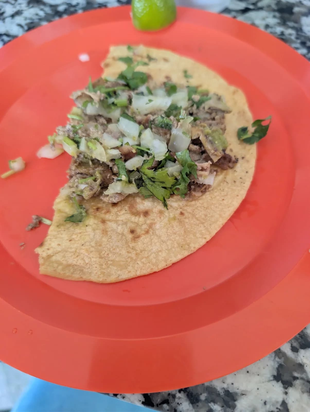 Taqueria Jefe Loco photo 2