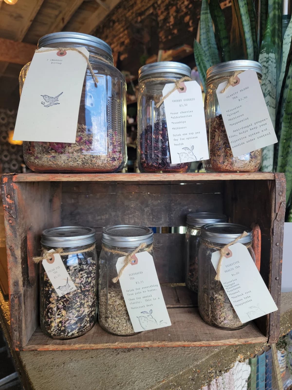 Workshop Apothecary photo 8