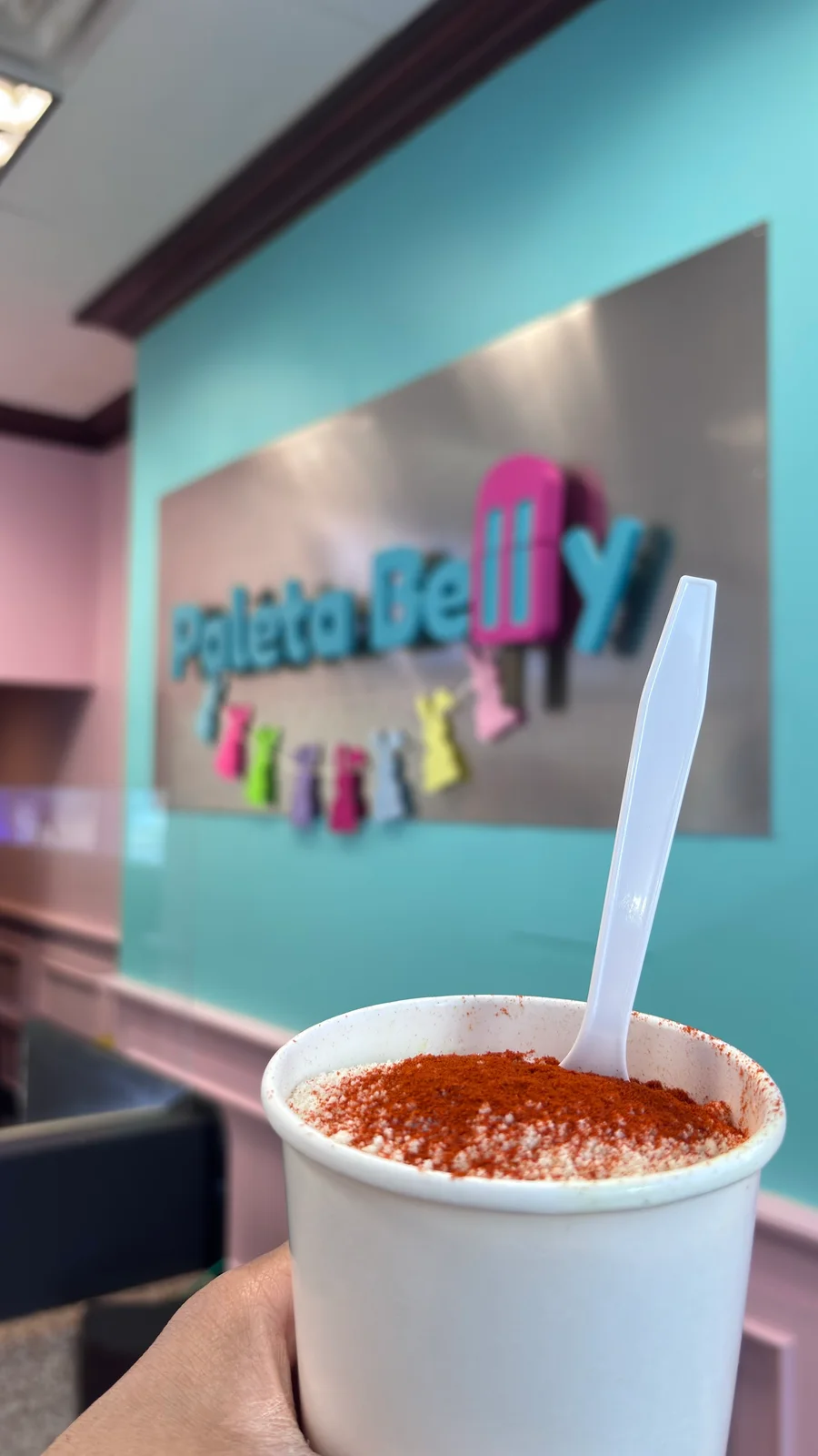 Paleta Belly photo 5