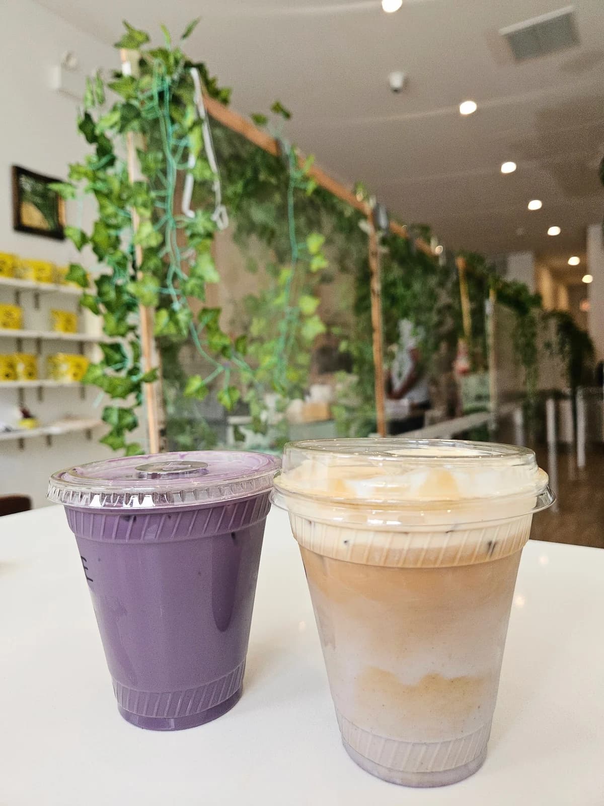 Bad Owl Coffee Roasters photo 8