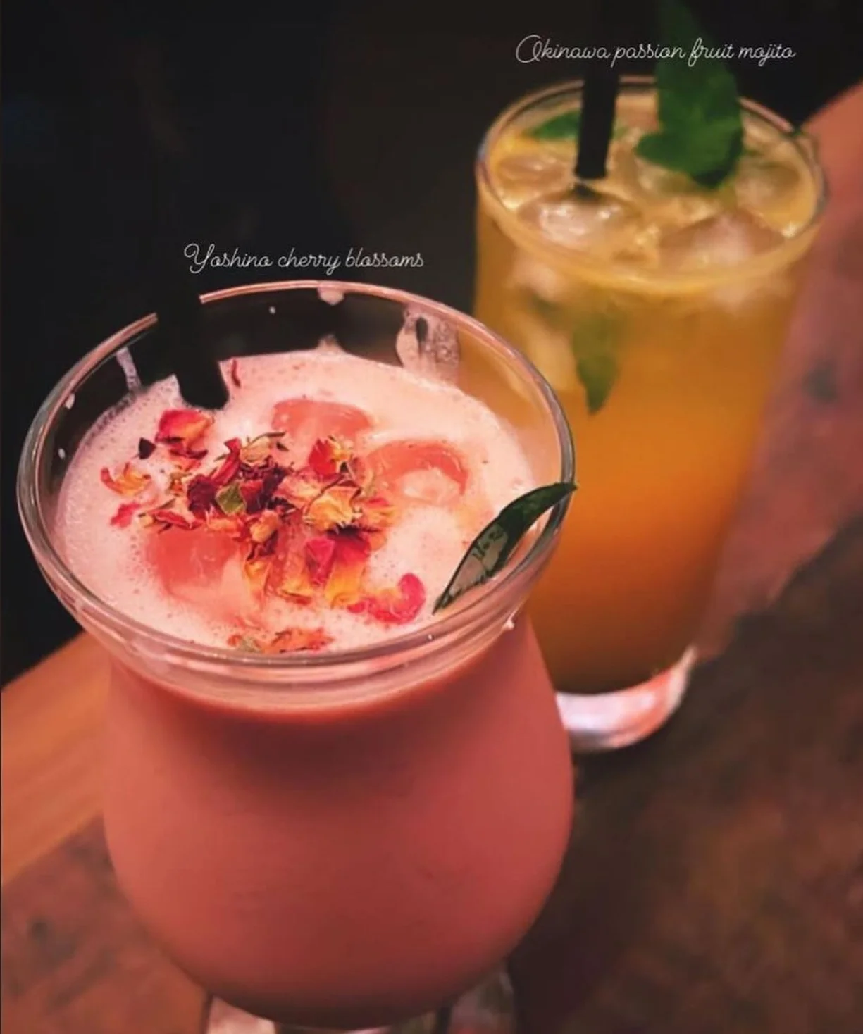 Izakaya Shinya photo 10