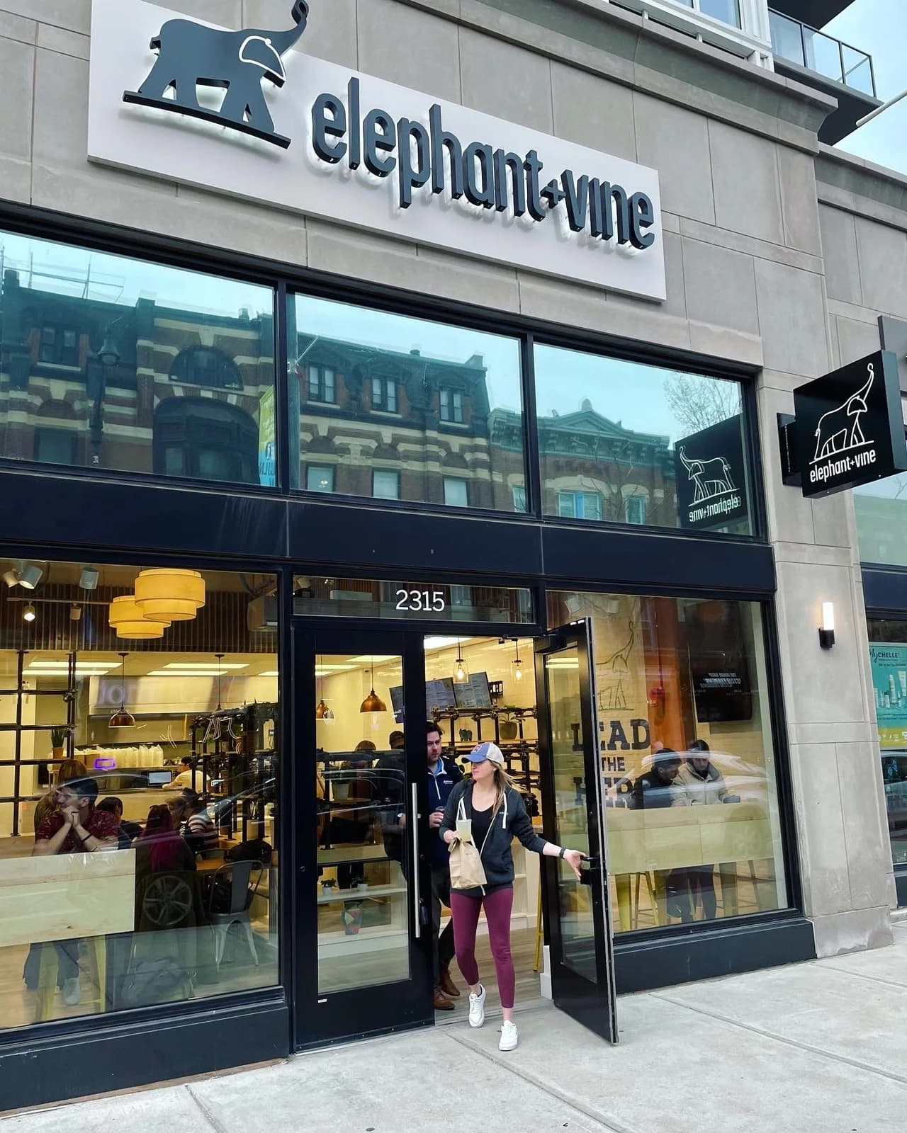 elephant + vine photo 3