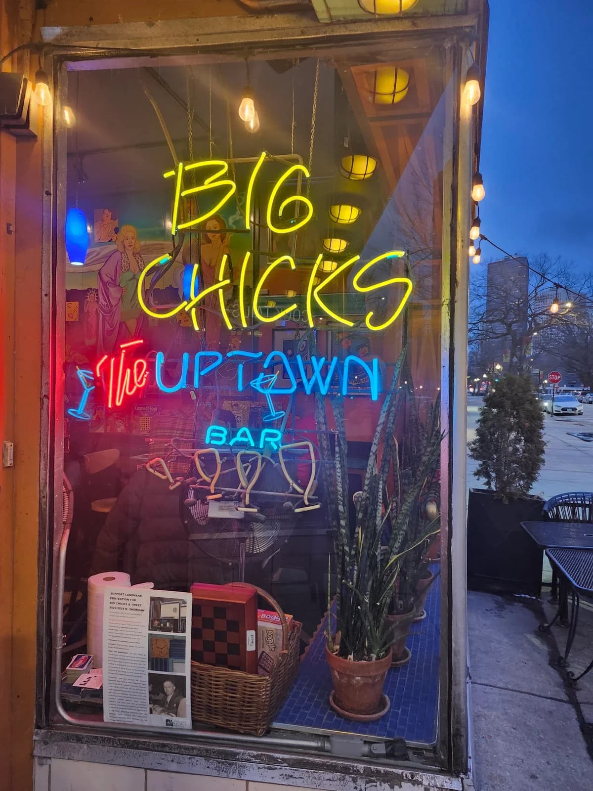 Big Chicks photo 3