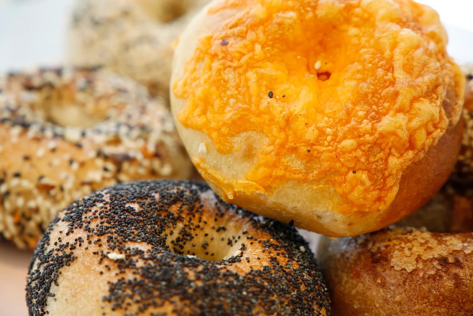 Tilly Bagel Shop photo 7