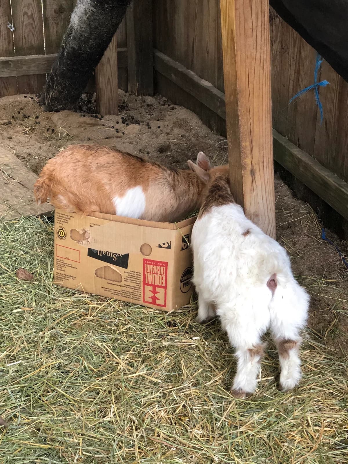 GlennArt Farm photo 5