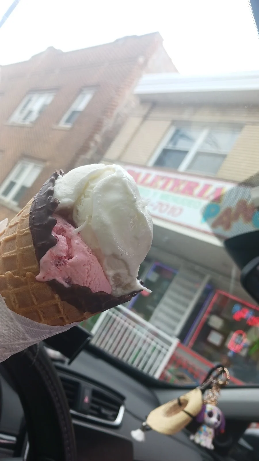 Pancho's Ice Cream - Mexican Style Frozen Fruit Bars "Paletas" photo 6