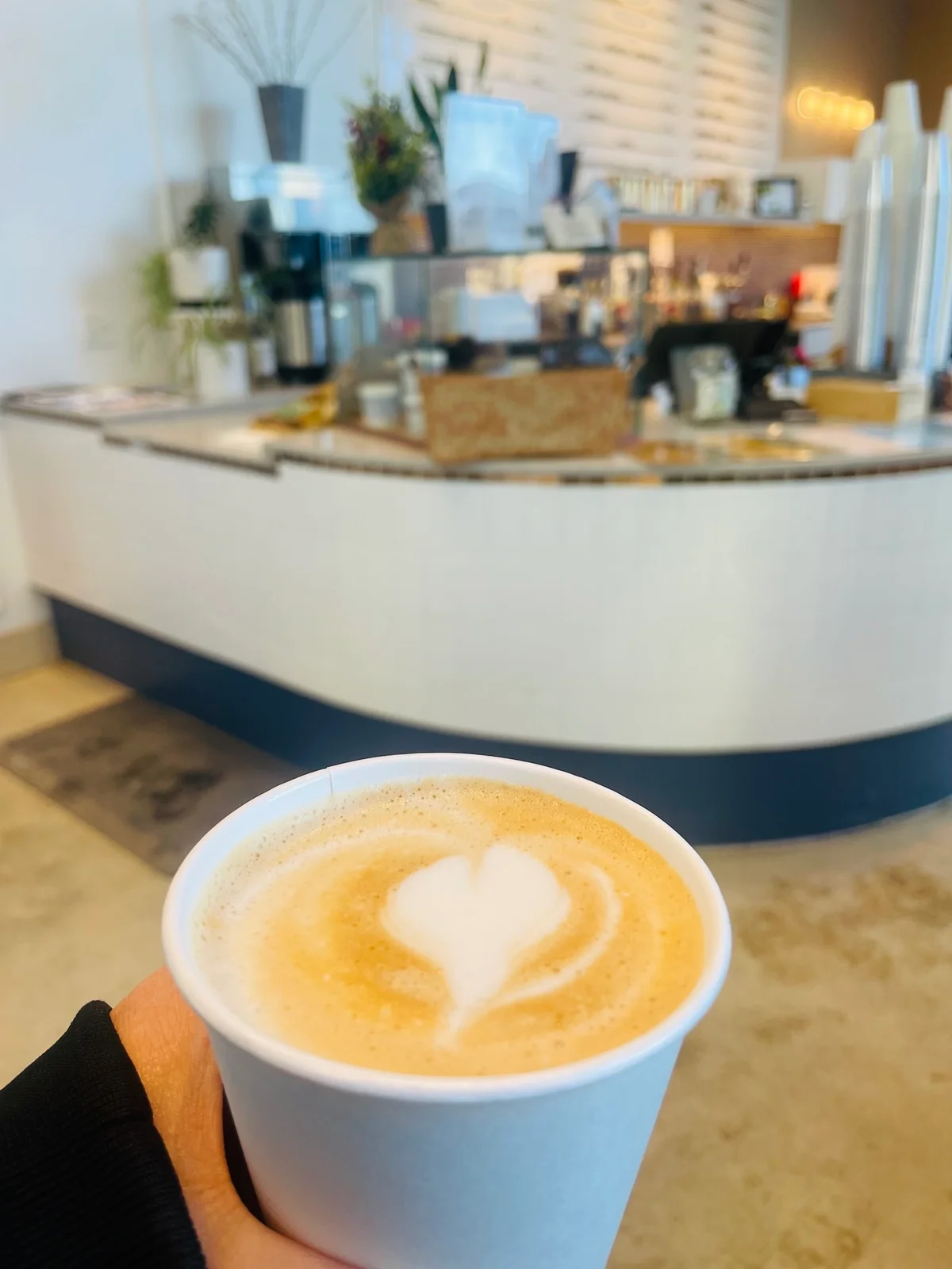 Gallery Cafe photo 9