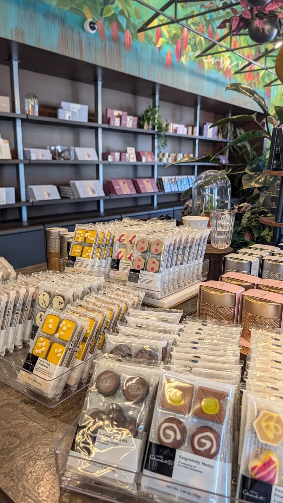 Hotel Chocolat photo 4