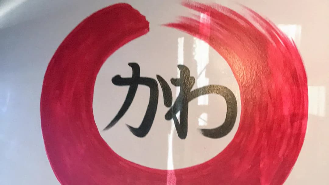 South Kawa Japanese Restaurant photo 9