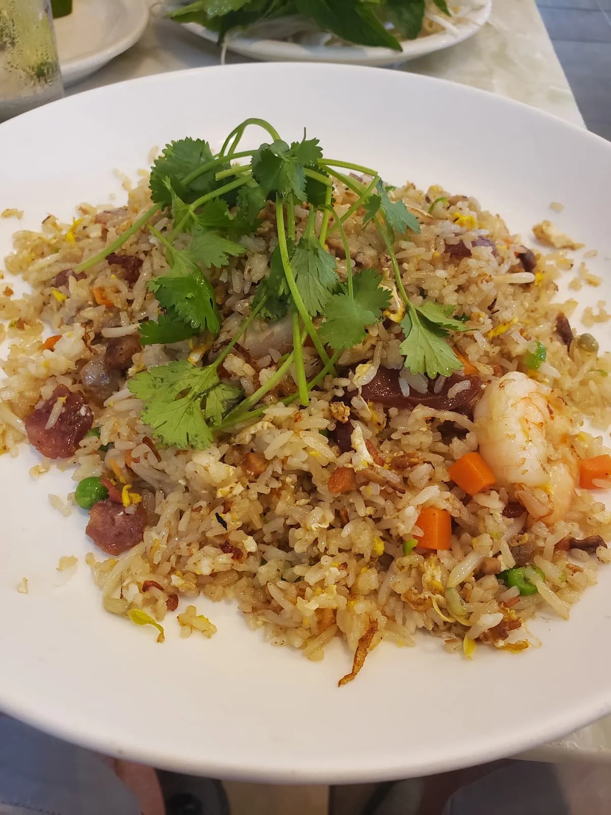 Tank Noodle photo 5