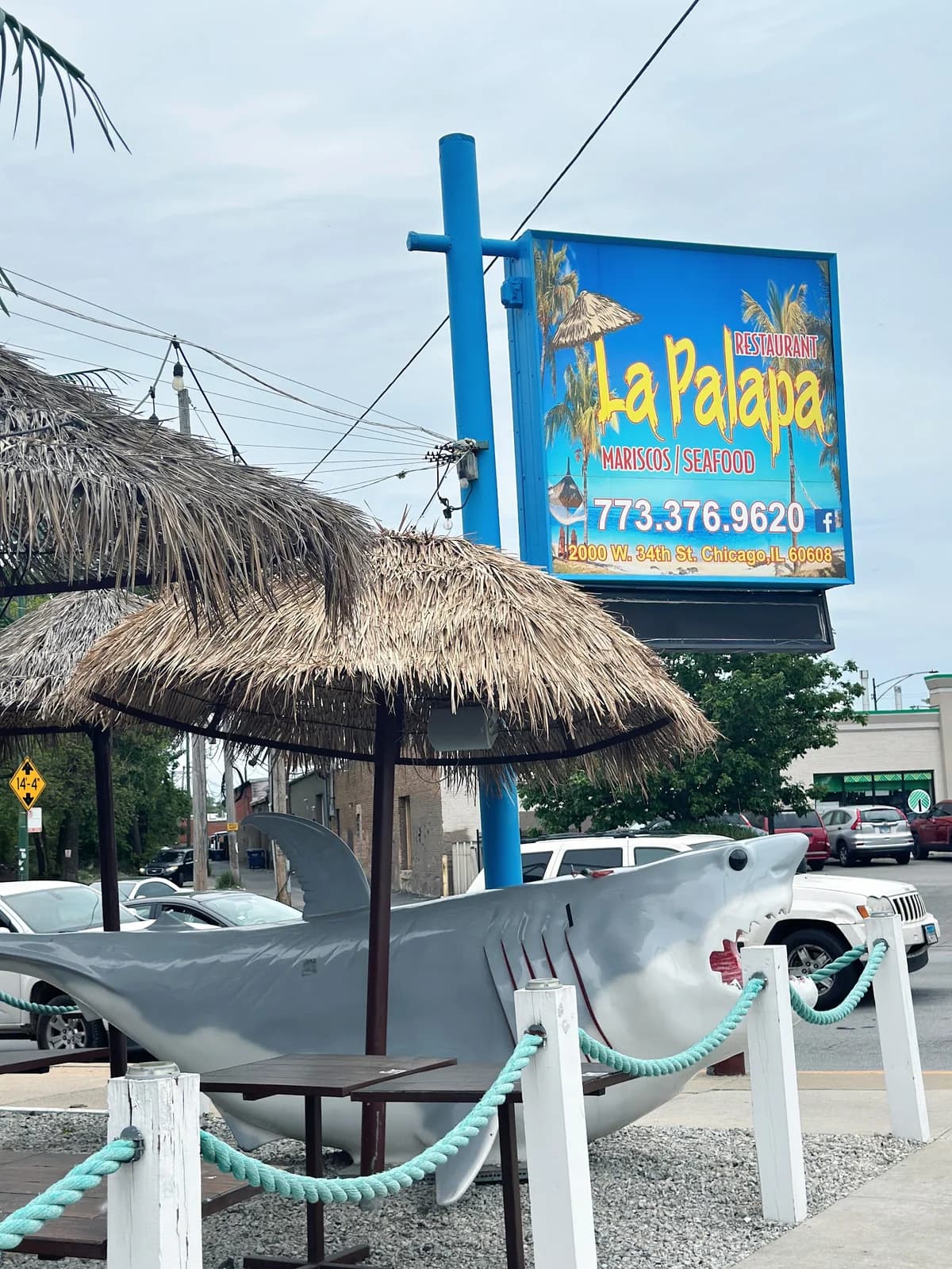 La Palapa photo 2